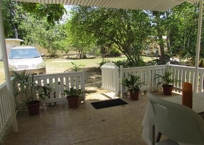 Studio Garden View