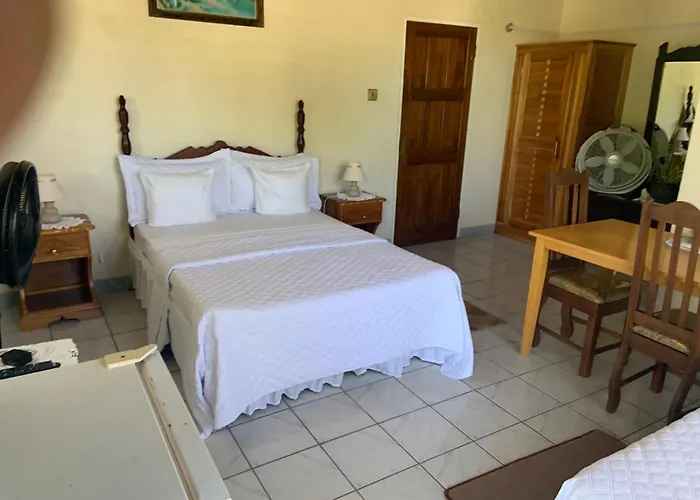 Superior Double or Twin Room Garden View