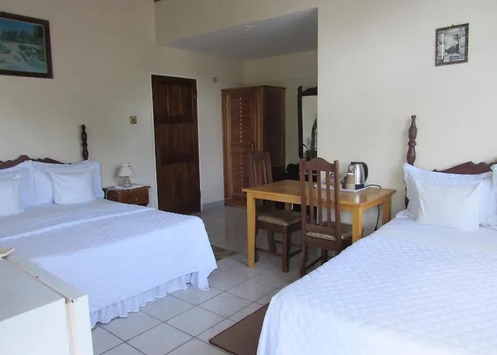 Superior Double or Twin Room Garden View