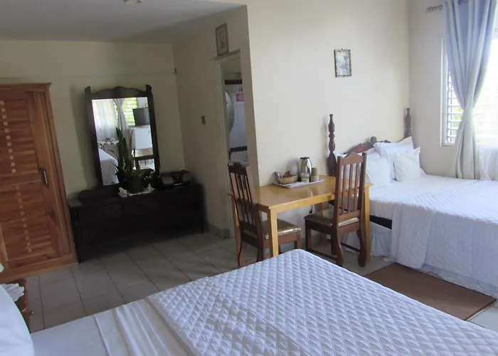 Superior Double or Twin Room Garden View